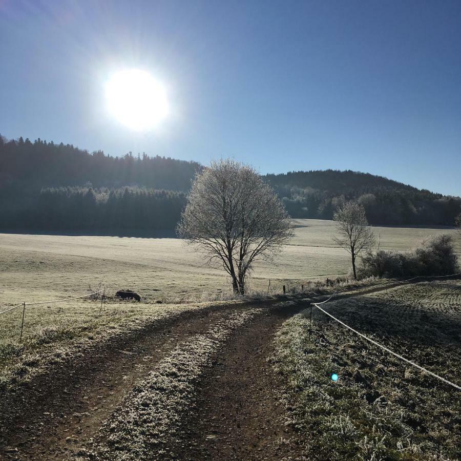 Gite La Janiat Montigny-sur-l'Ain Kültér fotó